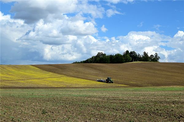 梦见田野是什么意思 梦见田野是什么意思
