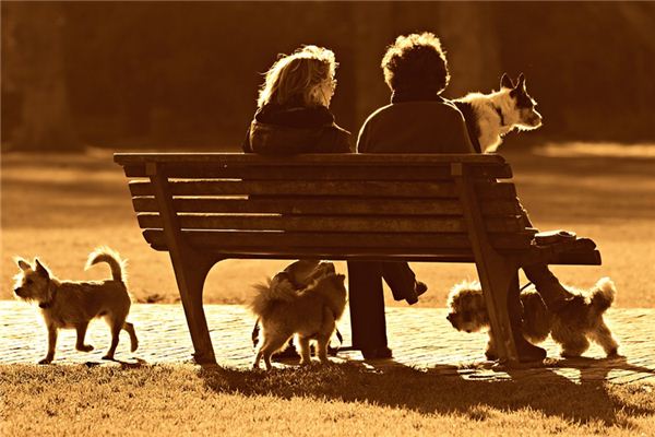 梦见亲人复活是什么意思 梦见亲人复活是什么意思