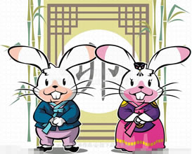 属兔的今年多大?