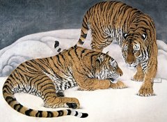 属虎的人终身运程_生肖虎的命运如何?