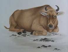 二十二日生属牛人命运好吗?