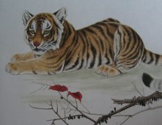 虎人生于戌时命运好吗?