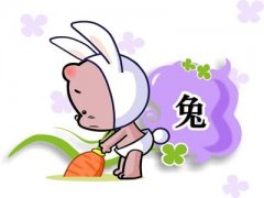 兔人生于巳时命运好吗?