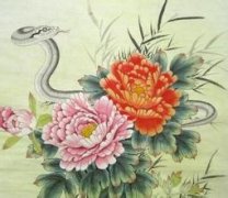 初九日生属蛇人命运好吗?