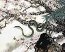 十七日生属蛇人命运好吗?