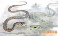 蛇人生于戌时命运好吗?