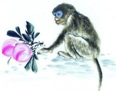 猴人生于丑时命运好吗?