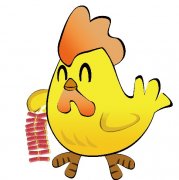 鸡人生于酉时命运好吗?