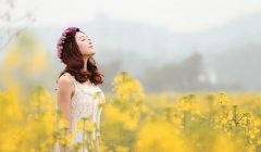 金牛座2022年运势及运程详解 2022金牛座全年运势完整版