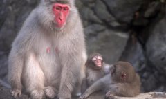 μԳ μԳʲôԤ μԳò