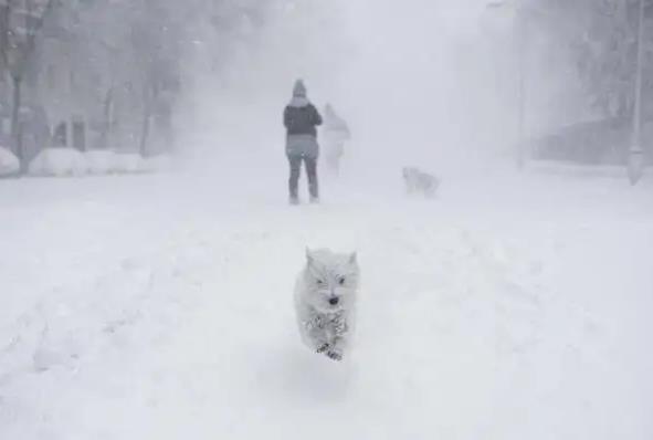 暴风雪