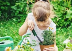 梦见种花 做梦梦见种花是什么预兆 梦见种花好不好
