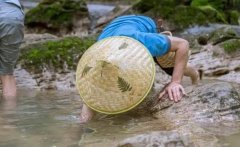 梦见抓虾捕虾 做梦梦见抓虾捕虾是什么预兆 梦见抓虾捕虾好不好