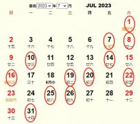 20237¿ҵƵ ʺ20237¿ҵĺ