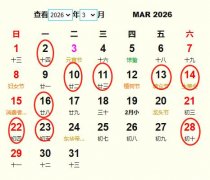 20263°һƵ ʺ20263°ҵĺ