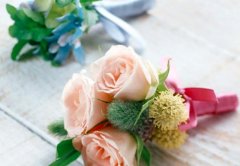 苏珊米勒2023年2月金牛座运势