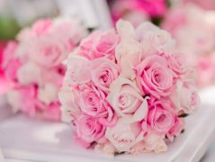 苏珊米勒2023年2月双子座运势