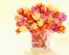 苏珊米勒2023年2月天蝎座运势