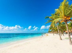 苏珊米勒2023年3月双鱼座运势