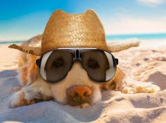 苏珊米勒2023年3月金牛座运势