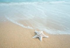 苏珊米勒2023年3月白羊座运势