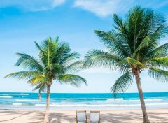 苏珊米勒2023年4月摩羯座运势