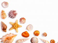 苏珊米勒2023年4月水瓶座运势