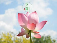 立夏习俗,民间在立夏时都有哪些习俗?