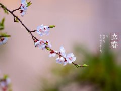 立春是什么意思