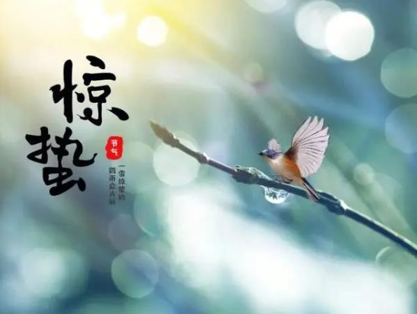 惊蛰养生食谱,惊蛰养生吃什么?