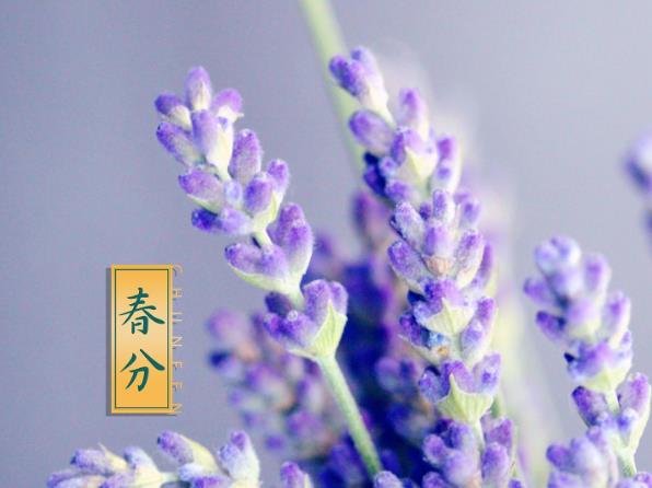 春分习俗,民间在春分时都有哪些习俗?