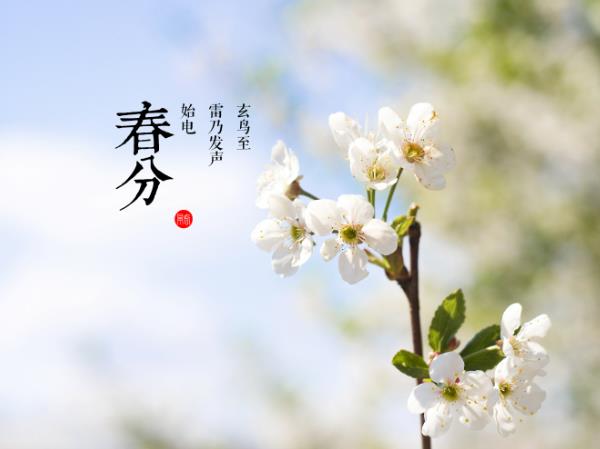 春分是什么时候?春分是几月几日