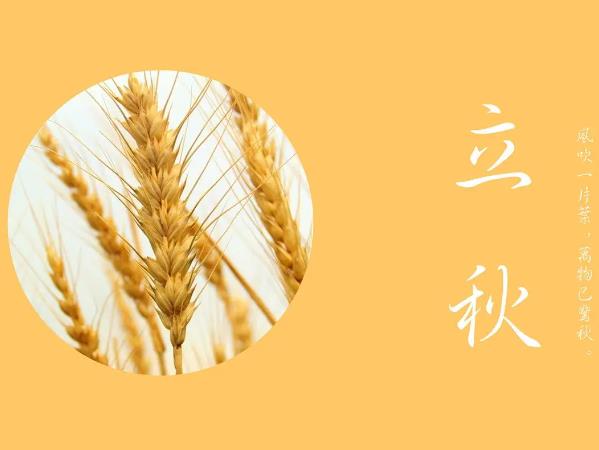 立秋养生食谱,立秋养生吃什么?