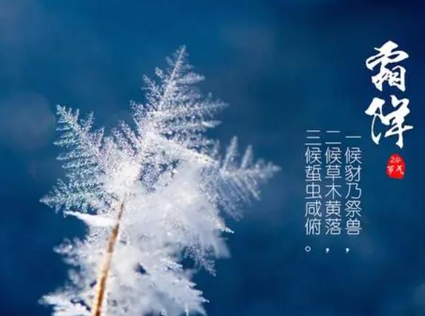 霜降节气相关谚语