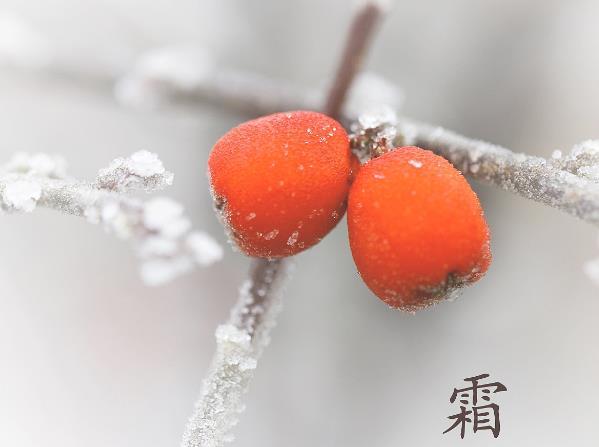 霜降是什么意思