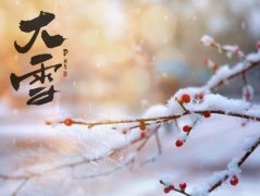 大雪养生食谱,大雪养生吃什么?