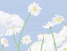 苏珊米勒2023年6月白羊座运势