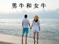 男牛和女牛配吗