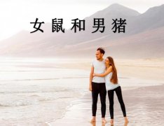 女鼠和男猪配吗