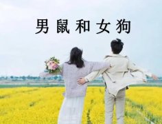男鼠和女狗配吗