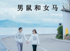 男鼠和女马配吗