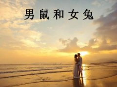 <b>男鼠和女兔配吗</b>