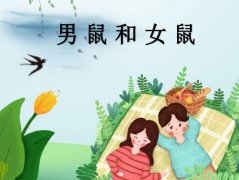 <b>男鼠和女鼠配吗</b>