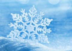 苏珊米勒2023年7月白羊座运势