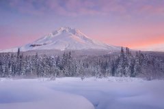 苏珊米勒2023年8月水瓶座运势