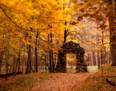 苏珊米勒2023年10月狮子座运势