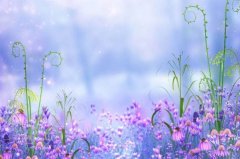 苏珊米勒2023年11月摩羯座运势