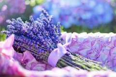 苏珊米勒2023年12月摩羯座运势