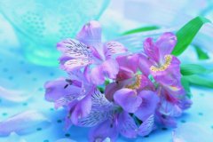 苏珊米勒2023年12月白羊座运势