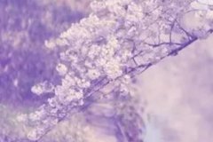 苏珊米勒2023年12月射手座运势